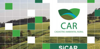 Serviço Florestal lança aplicativo com funcionalidades do site do CAR