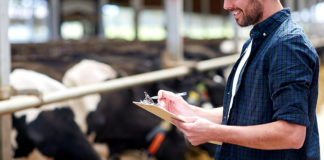 Nutrição animal fatura US$ 400 bilhões e América Latina responde por 15% do total, informa IFIF