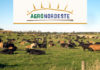 DESTAQUE – AgroNordeste impulsionará agropecuária na região