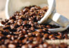 ESPECIAL – Exportações de café atingem 41,4 milhões de sacas e ultrapassam recorde de 2015