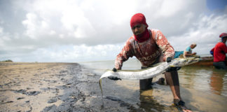 ESPECIAL – Disponibilizadas listas com os registros de mais de 65 mil pescadores afetados por manchas de óleo que irão receber auxílio emergencial estão disponíveis