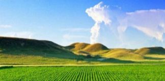 INVESTIMENTO – Realizado aporte de US$ 23 milhões em marketplace para o agronegócio