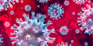 ARTIGO – Os impactos do coronavírus