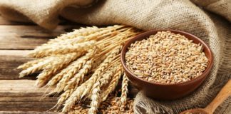 MERCADO – Preços do trigo sobem mais de 25% em 60 dias