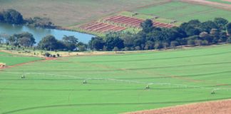 SERVIÇO – Irrigação na cana-de-açúcar: IAC dá orientação sobre benefícios