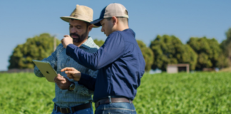 Manejo fitossanitário é beneficiado por monitoramento digital de lavoura