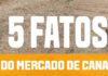 INFOGRÁFICO – Valtra apresenta os cinco fatos do mercado de cana-de-açúcar que se destacaram em 2019