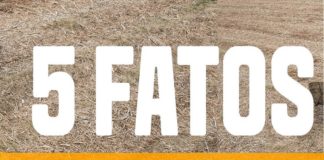INFOGRÁFICO – Valtra apresenta os cinco fatos do mercado de cana-de-açúcar que se destacaram em 2019
