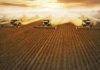Produtividade e mecanização da agricultura na África e na América Latina podem crescer com contribuição do Brasil