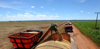 ARTIGO – Transporte de fertilizantes: fase mais sensível à adulteração