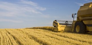 BNDES fortalece vínculos com o agronegócio e o cooperativismo