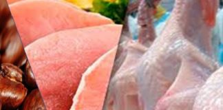 Produtos do agronegócio avançam em exportações