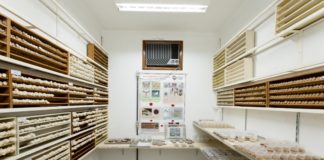 Controle biológico de pragas e doenças motiva investimento de R$ 40 milhões em centro de pesquisas em Piracicaba