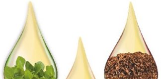 Aditivos fitogênicos substituem antibióticos em animais com bom desempenho, afirmam especialistas