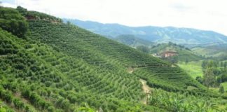 ARTIGO – Agricultura movida a ciência