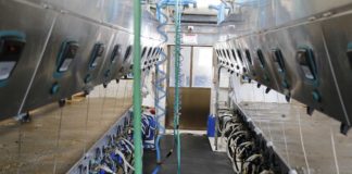 ARTIGO – Fatores a levar em consideração na escolha do sistema de controle e medição de ordenha