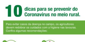 INFOGRÁFICO e PODCAST – Cuidados com o coronavírus