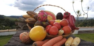 Produtos da Roça, de MG, recebe certificado de produção orgânica