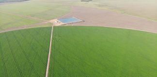 ESTUDO DE CASO – Poço tubular contribui para eficiência da irrigação