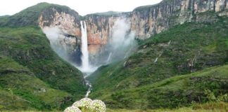 DESTAQUE – Primeiro Patrimônio Agrícola Mundial para agronegócio brasileiro é para apanhadores de flores sempre-vivas de MG