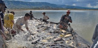 Mapa autoriza solicitação online para uso de águas da União para aquicultura
