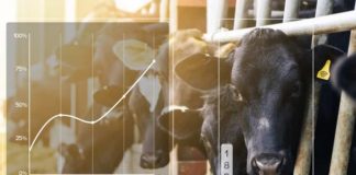 Parceria estratégica para monitoramento de rebanhos leiteiros