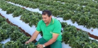 ARTIGO – A situação e os desafios do pequeno agricultor no Brasil