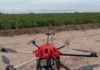 ARTIGO – Controle biológico de pragas com drone aumenta o lucro