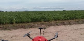 ARTIGO – Controle biológico de pragas com drone aumenta o lucro