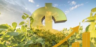 ESPECIAL – Levantamentos de produção sinalizam recordes e comprovam: o agro não para