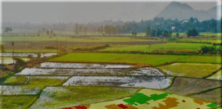 ESPECIAL – Integração de plataformas agiliza tomada de decisão