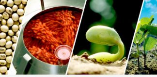 Estação Novas Tecnologias agora em webinar