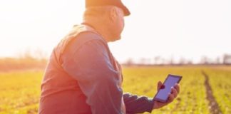 ESPECIAL – CMN esclarece sobre comunicação de perdas de beneficiários do Proagro por forma remota