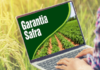 Garantia-Safra – Mapa autoriza solicitação de transferência pelo portal Gov.br e antecipa pagamento de benefício