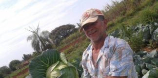 DESTAQUE – Planejamento e união garantem ganhos a cooperados no interior de São Paulo