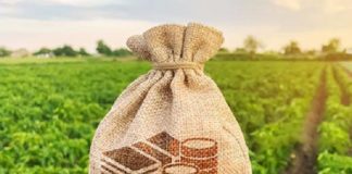 Financiamento agropecuário da Safra 2019/2020 ultrapassa R$ 140 bilhões