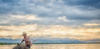 Selo Arte a alimentos derivados do pescado: prazo foi prorrogado