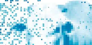 Sumário de Touros das Raças Nelore, Guzerá, Brahman e Tabapuã: lançada edição maio de 2020