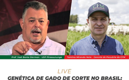 Live sobre genética de gado de corte