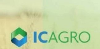 Pandemia leva ICAgro a patamar de 2018