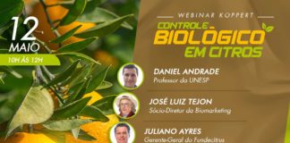 Controle biológico em citros une Koppert e Biomarketing