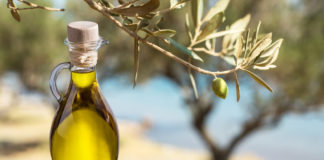 Laboratório da Embrapa em Pelotas é credenciado para análise de azeite de oliva