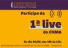 Desafios da Covid-19 e as mulheres do agro: live promovida pelo CNMA