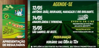 Apresentações de Resultados da Safra em MS acontecem em eventos online