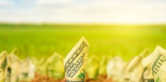 Crescimento do PIB do agro em meio à crise mostra resiliência do setor, diz Faesp