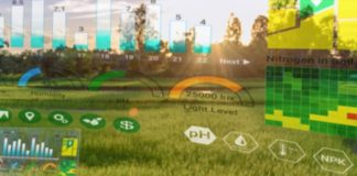 Covid-19 transformará áreas e acelerará digitalização do agro, afirma especialista da ESPM