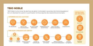 INFOGRÁFICO – Trigo segregado traz ganhos ao produtor