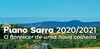 Plano Safra2020-2021 para agricultura familiar: mais recursos e taxas de juros menores