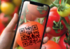 Solução de rastreabilidade aumenta capacidade de venda de hortifruti