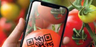 Solução de rastreabilidade aumenta capacidade de venda de hortifruti